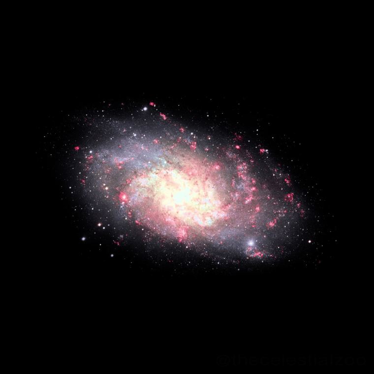 Triangulum Galaxy, image processed and rendered especially for Wikimedia.org by Pablo Carlos Budassi. Creative Commons Attribution-Share Alike 4.0 International license